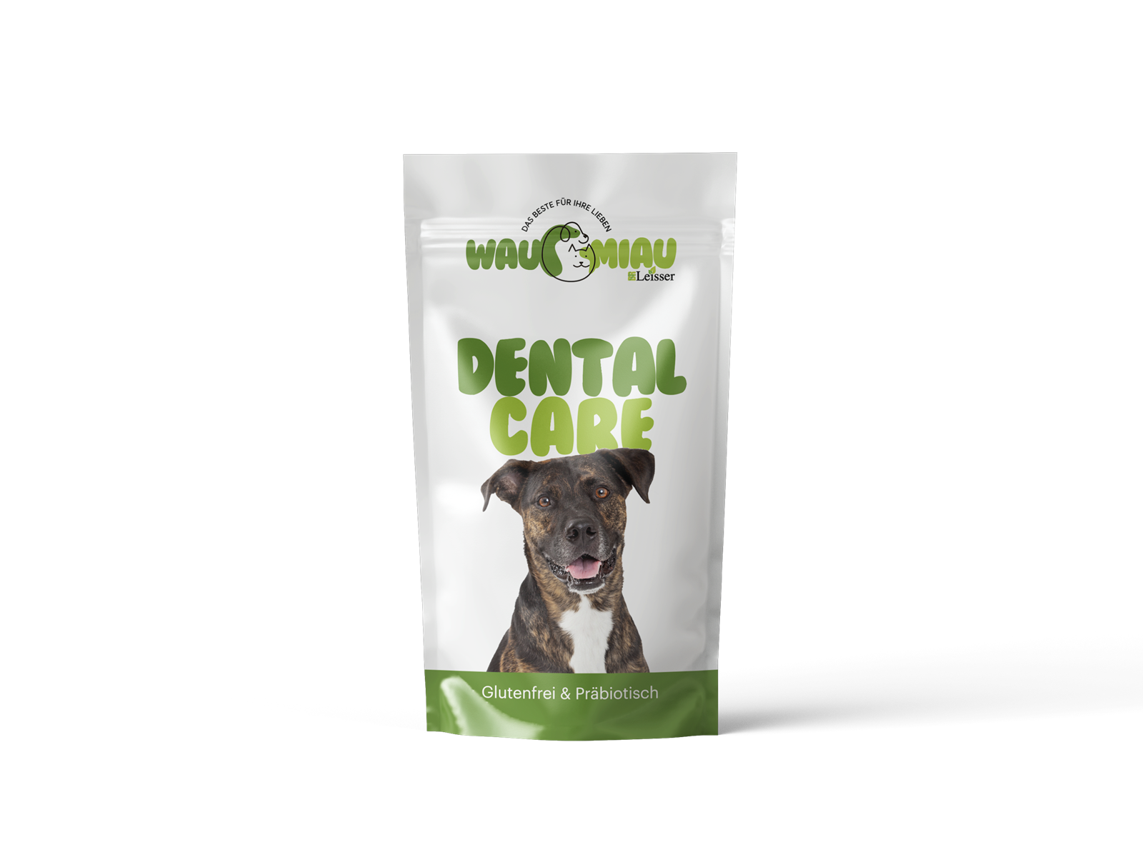 Dental Care